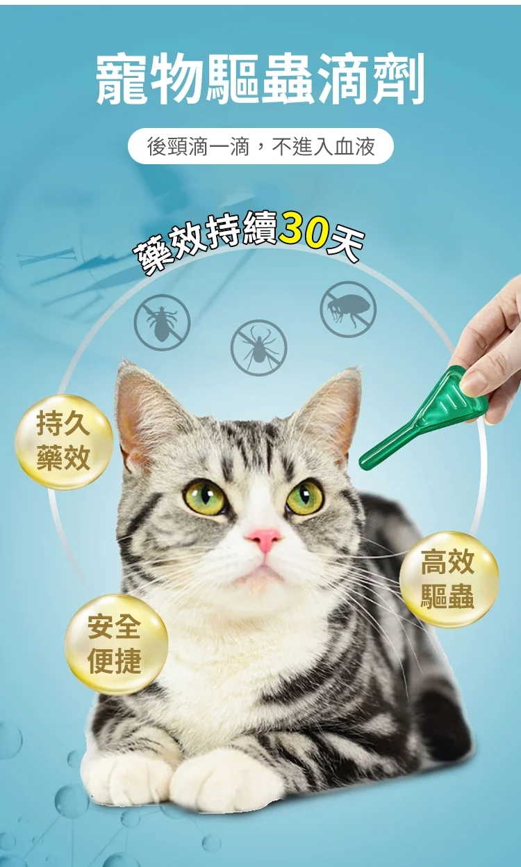 158dd419fda618dd3bee564b6d7ff29.png